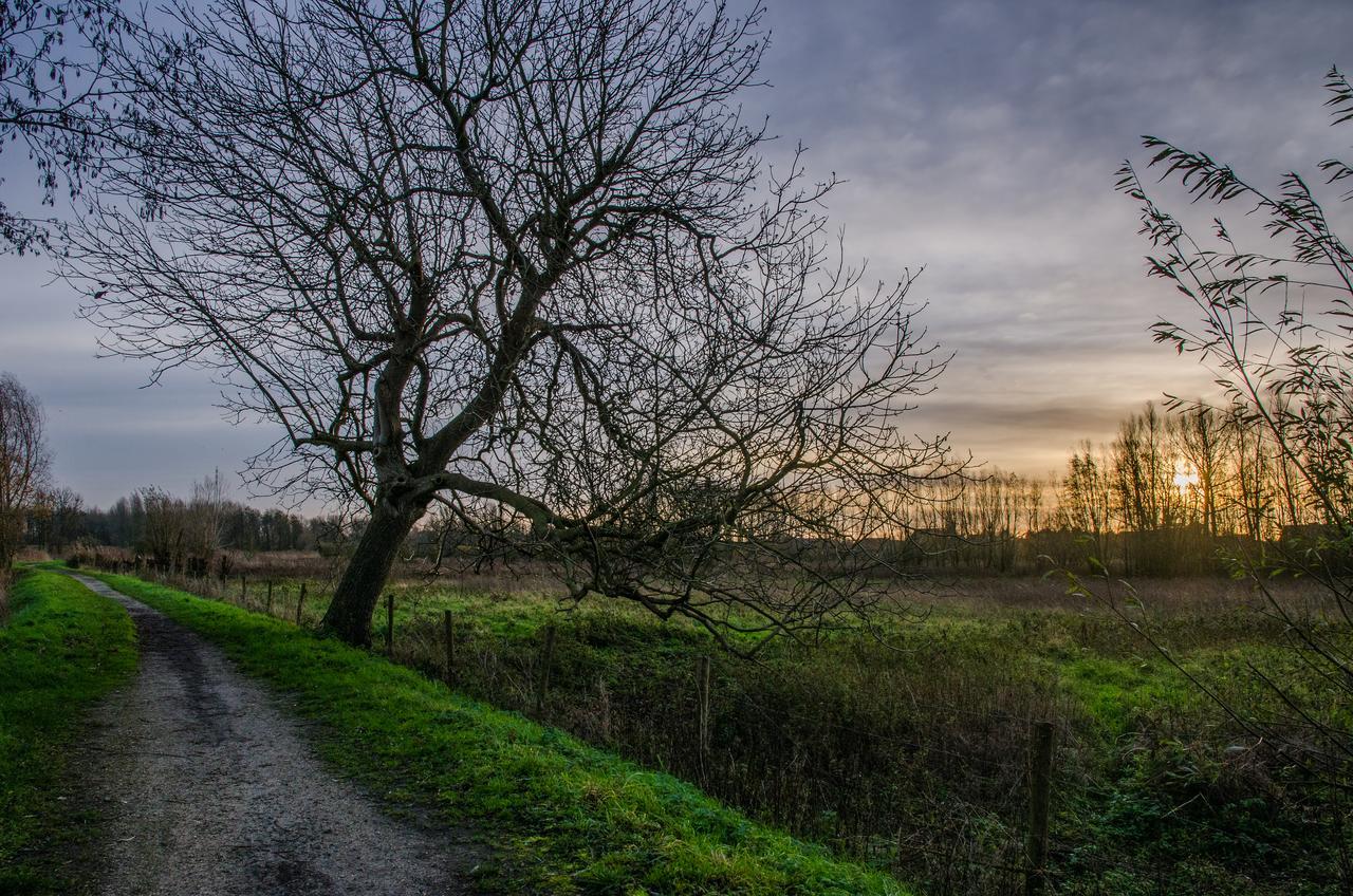 De Koolputten Waasmunster Exterior foto